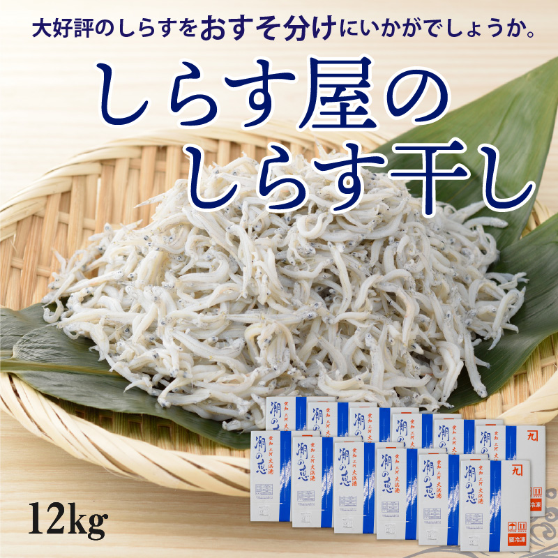 しらす屋のしらす干し　1ｋｇ×12個　12ｋｇ　H006-071