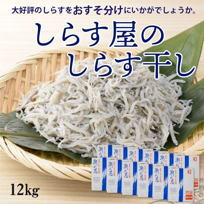 【12月18日受付分まで年内発送】しらす屋のしらす干し　1ｋｇ×12個　12ｋｇ　H006-071
