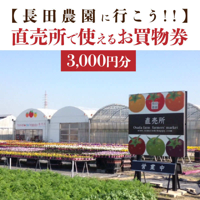 【長田農園に行こう!!】直売所で使えるお買物券　3,000円分　H004-159