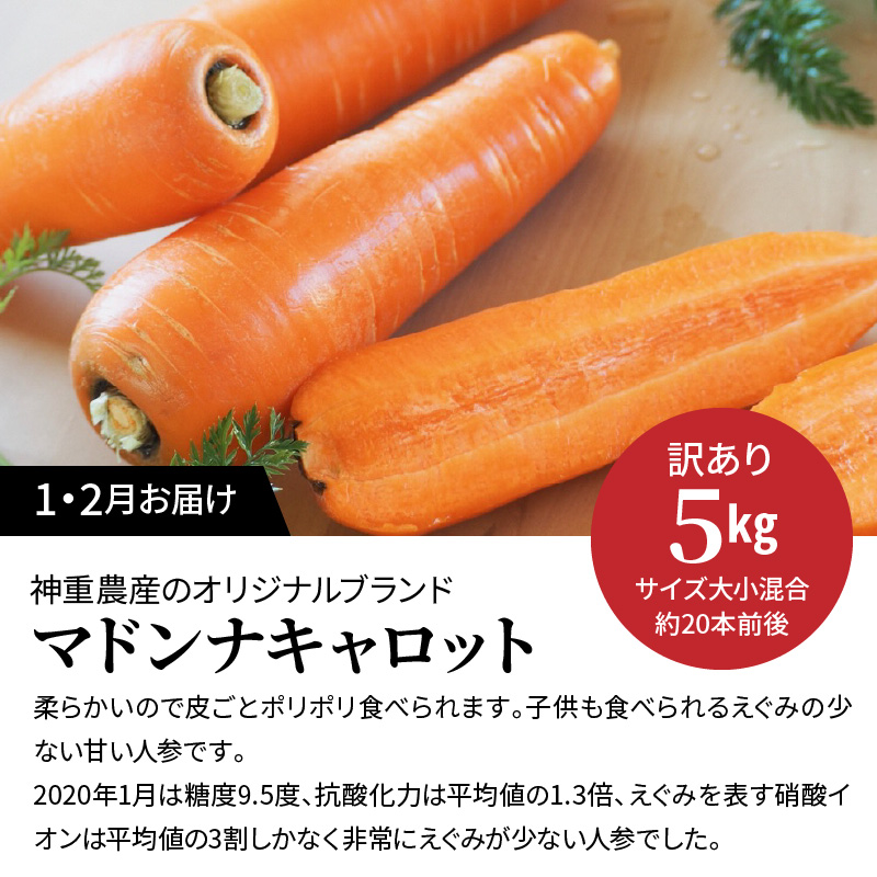 【予約受付】＜フジテレビ『どっちのふるさと？』で紹介されました！＞ 訳あり 2回定期便 にんじん 1月2月お届け マドンナキャロット　H105-163