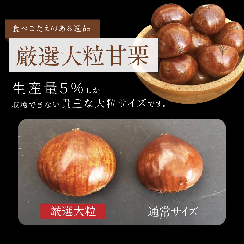 この道50年の職人が焼く、やさしい甘みたっぷりの「厳選大粒」天津甘栗560g！焼きたて 栗 くり 栗爪 殻付き お菓子 おつまみ 人気 高リピート 小分け 栗ご飯 栗きんとん 甘露煮 H045-064