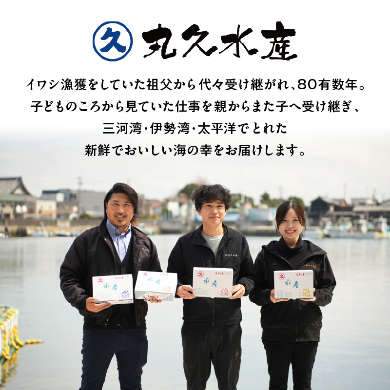 訳あり 小モリ1kg！バラエティ豊富な三河しらす～海の仲間たち～　H018-046