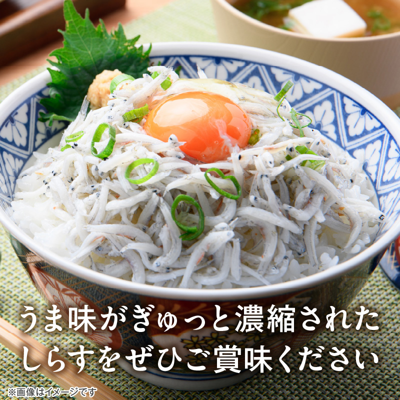 訳あり 小モリ1kg！バラエティ豊富な三河しらす～海の仲間たち～　H018-046