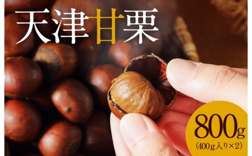 天津甘栗 衣浦食品 800g 栗爪付き やさしい甘み 河北省 栗 甘栗 焼き栗 保存料 不使用 焼いた当日 発送 この道50年 職人 専門店 栗ご飯 栗きんとん おやつ 常温 お取り寄せ 愛知県 碧南市 送料無料 H045-053