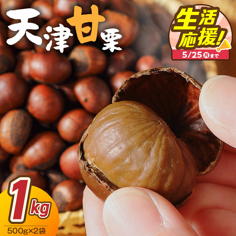 【特別容量 800g⇒1kg】 （ 生活応援 ） この道50年の職人が焼く、やさしい甘みたっっっぷり！「天津甘栗」 1kg 焼きたて 栗 くり 栗爪 殻付き お菓子 おつまみ 人気 高リピート 小分け 栗ご飯 栗きんとん 甘露煮 感謝を込めて 碧南市 H045-106