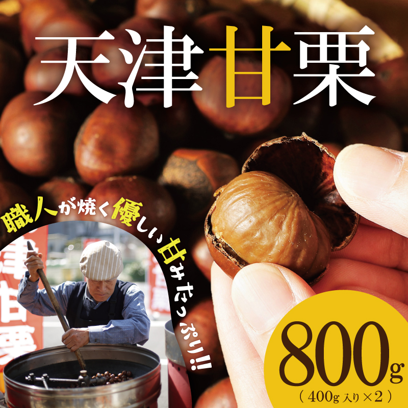 この道50年の職人が焼く、やさしい甘みたっぷりの「天津甘栗」 800g ！ 焼きたて 栗 くり 栗爪 殻付き お菓子 おつまみ 人気 高リピート 小分け 栗ご飯 栗きんとん 甘露煮 碧南市 H045-077