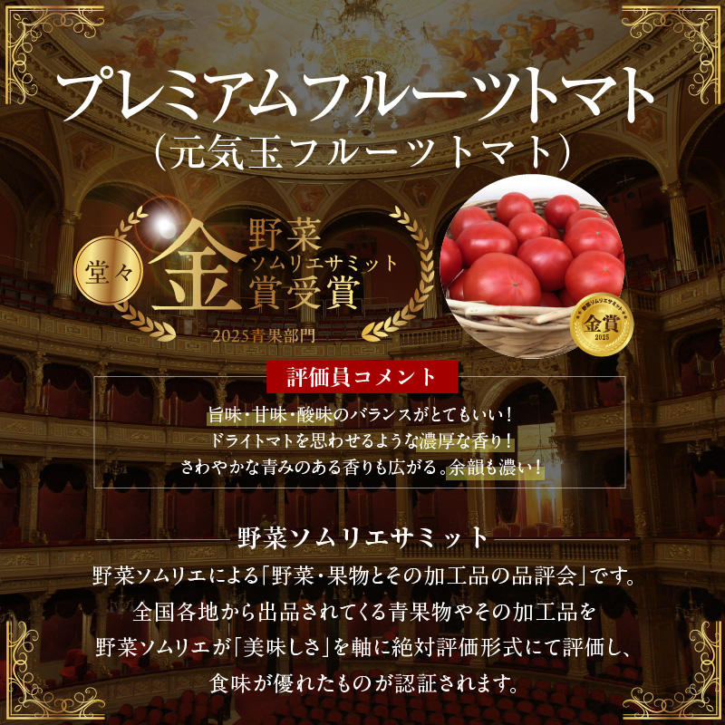 【2026年度予約分】【お試し】期間限定！プレミアムフルーツトマト 野菜ソムリエサミット 金賞 受賞 長田農園 産地直送 トマト とまと 野菜 やさい フルーツ サラダ 濃厚 甘い ご褒美 プレゼント 美容 健康 リピート多数 人気 高評価 先行受付 数量限定 碧南市　H004-194