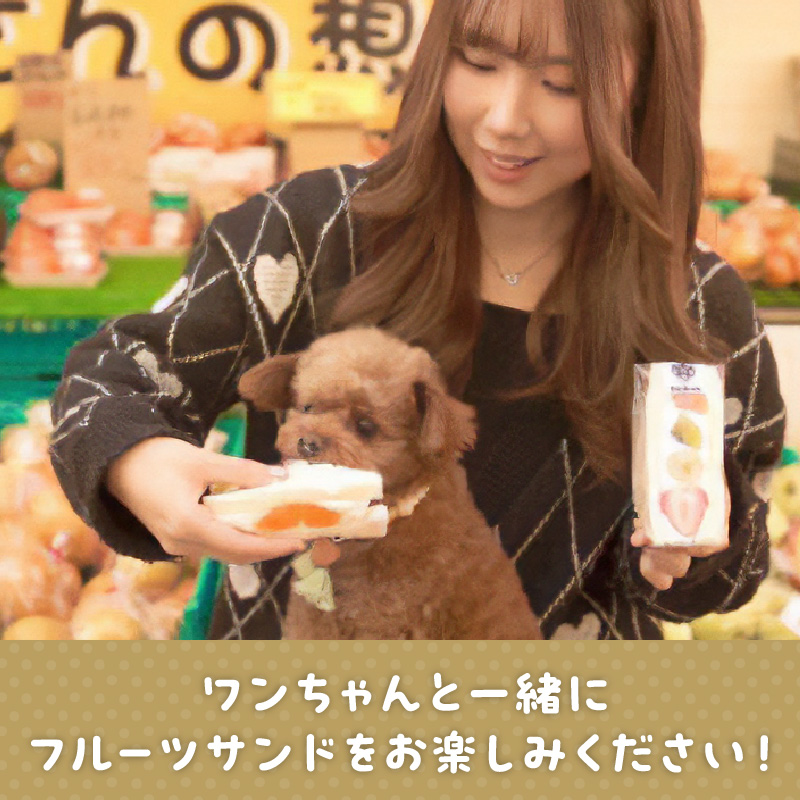 甘さ控えめ！八百屋が厳選したワンちゃん＆飼い主様フルーツサンドセット 5個セット フルーツ フルーツサンド 犬 愛犬 一緒 果物 くだもの H151-012