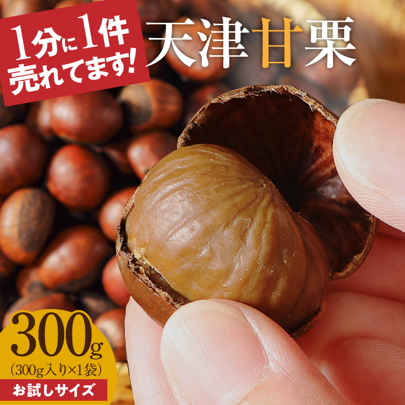 天津甘栗 衣浦食品 300g 栗爪付き やさしい甘み 河北省 栗 甘栗 焼き栗 保存料 不使用 焼いた当日 発送 この道50年 職人 専門店 栗ご飯 栗きんとん おやつ 常温 お取り寄せ 愛知県 碧南市 送料無料 H045-068