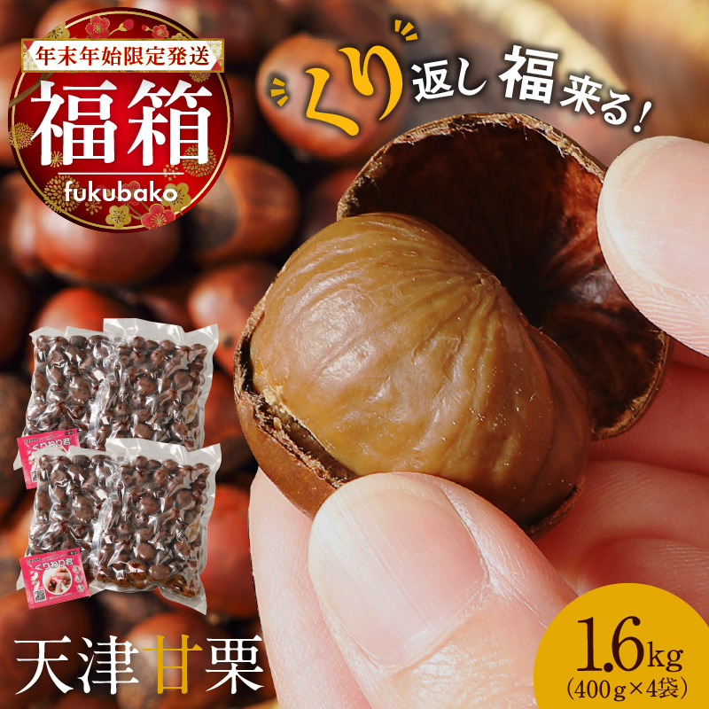 【福箱★2026】【くり返し福来る！】 年末年始限定発送 この道50年の職人が焼く、やさしい甘みたっぷり！「天津甘栗」1.6kg H045-067