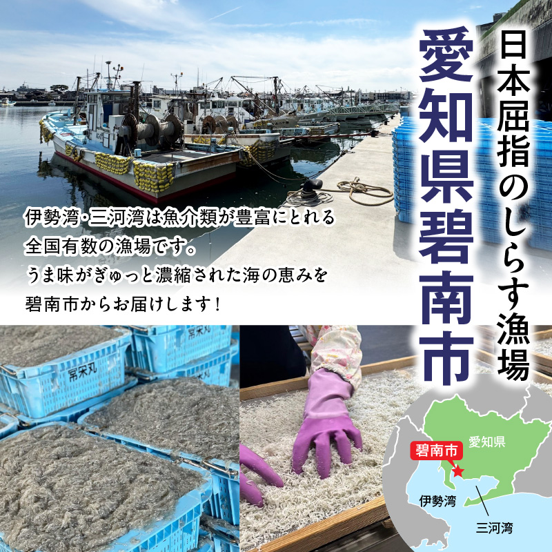 訳あり 小モリ1kg！バラエティ豊富な三河しらす～海の仲間たち～　H018-046