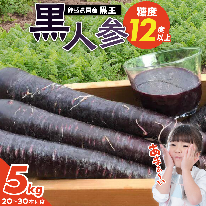 【期間限定】おどろきの甘さと抗酸化力！　黒人参『黒王』5Kg　にんじん スーパーフード 健康 メロン みかん 甘い 糖度 ジュース 自慢 カラフル ブラック キャロット 農作物 自然 野菜 老化防止 H022-014