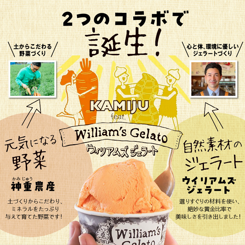 【3種のフレーバーを食べ比べ!!】だいちとつながるジェラート5個セット 映えるデザインが可愛いと話題に!! マドンナキャロット 地元野菜 甘い アイス スイーツ デザート 洋菓子 可愛い 詰め合わせ キャロットミルク フルーツサラダ ピーナッツミルク 自慢 冷たい にんじん 人参 落花生 ピーナッツ 農家 神重農産 H105-173