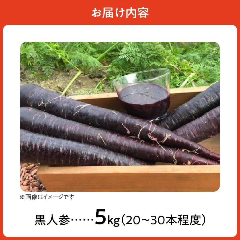 【期間限定】おどろきの甘さと抗酸化力！　黒人参『黒王』5Kg　にんじん スーパーフード 健康 メロン みかん 甘い 糖度 ジュース 自慢 カラフル ブラック キャロット 農作物 自然 野菜 老化防止 H022-014

