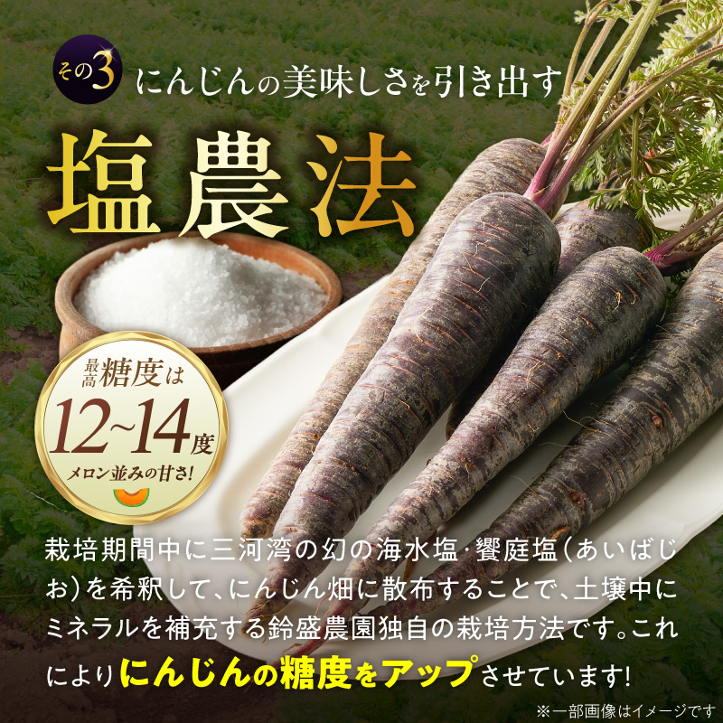 〈予約受付〉メディア出演多数！ 【期間限定】おどろきの甘さと抗酸化力！　黒人参『黒王』5Kg H022-014