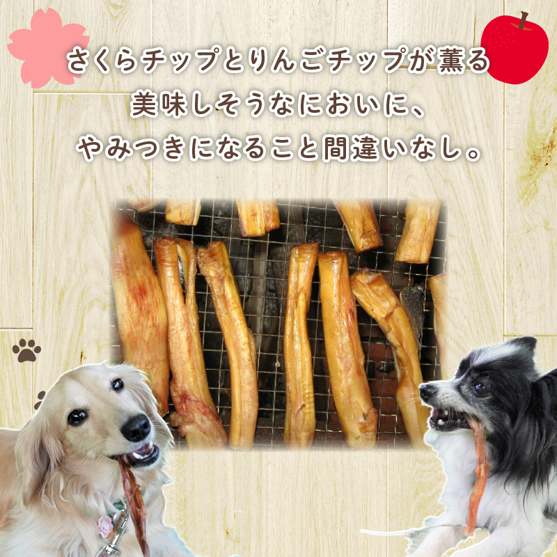 【獣医師手作り】無添加 ペット用 アキレスくんせい お試しセット（計70g） お試し 少量 ジャーキー ストレス解消 歯磨き効果 燻製 犬 猫 やみつき おやつ ご褒美 馬肉アキレスを使用 H191-004
