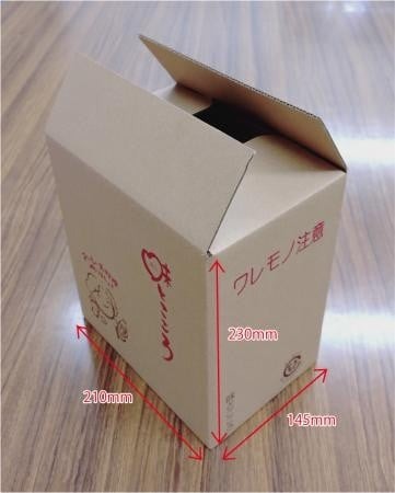 おいしいそばつゆ大賞2023第1位 グランプリ獲得！七福醸造が本気で挑戦した辛口そばつゆ 日本のつゆ300ml 6本セット 大容量 つゆ ? そば 蕎麦 そうめん ざるそば かつお節 しょうゆ 出汁 だし 年越し たっぷり H001-098