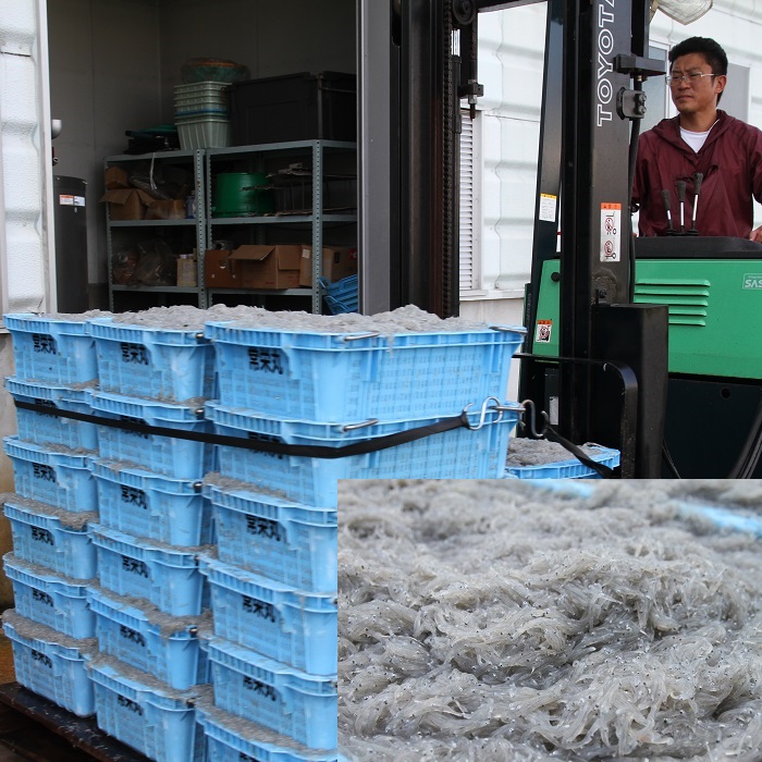 【12月18日受付分まで年内発送】しらす屋のしらす干し500g　H006-075