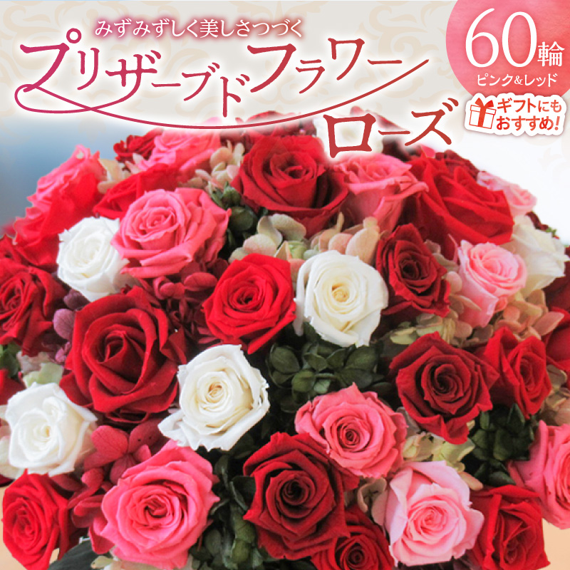 【日付指定可能】プリザーブドフラワーローズ（ピンク＆レッド）60輪のアレンジメント 薔薇 バラ ギフト プレゼント ラッピング 産地直送 インテリア お花 フラワー ボリューム満点 H193-020