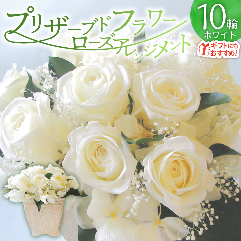 【日付指定可能】 プリザーブドフラワーローズ１０輪 プリザーブドフラワーアレンジメント ホワイト 薔薇 バラ ギフト プレゼント ラッピング 産地直送 インテリア お花 フラワー H193-026