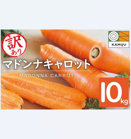 【期間限定】訳あり！こどもも食べられる甘み！「マドンナキャロット」 10kg 大容量 にんじん 人参 ニンジン 野菜 やさい 国産 碧南市 健康 食品ロス削減 甘い 先行予約 旬 特産 高評価 高リピート 人気 H105-147