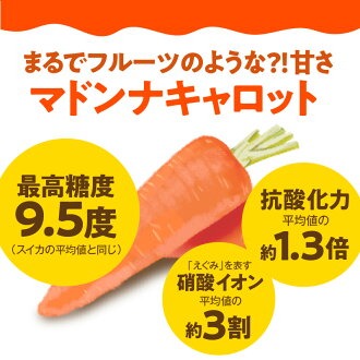 【期間限定】訳あり！こどもも食べられる甘み！「マドンナキャロット」 10kg 大容量 にんじん 人参 ニンジン 野菜 やさい 国産 碧南市 健康 食品ロス削減 甘い 先行予約 旬 特産 高評価 高リピート 人気 H105-147