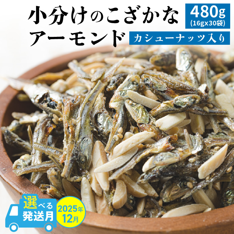 《数量限定》【2025年 年内発送】 手軽に健康習慣 小分けのこざかなアーモンド カシューナッツ入り 480g(16gｘ30袋) おうち時間 おやつ 大満足 美容 健康 栄養豊富 人気 高リピート ナッツ H059-121_Dec