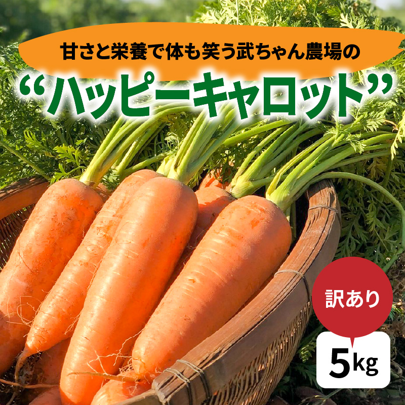 【食品ロス削減】（ 訳あり ）甘さと栄養で体も笑う武ちゃん農場の“ハッピーキャロット” 5kg　H095-022