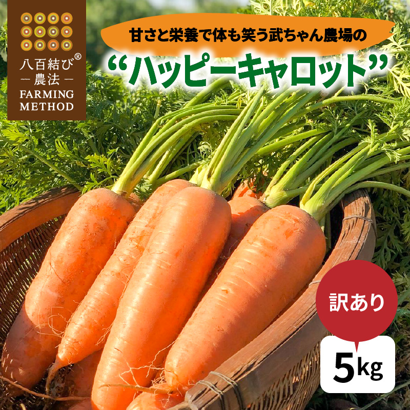 【食品ロス削減】（ 訳あり ）甘さと栄養で体も笑う武ちゃん農場の“ハッピーキャロット” 5kg　H095-022