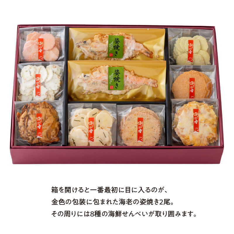 ワンランク上の海鮮煎餅詰合せ「潮の香10袋(9種)」 　海老 えびせん 海老姿焼き 贈り物 ギフト お歳暮 せんべい おつまみ 海鮮 乾物 和菓子 醤油味 お菓子 おやつ 煎餅 梅 わさび 小分け 海鮮せんべい えびせん家族 人気 H011-138