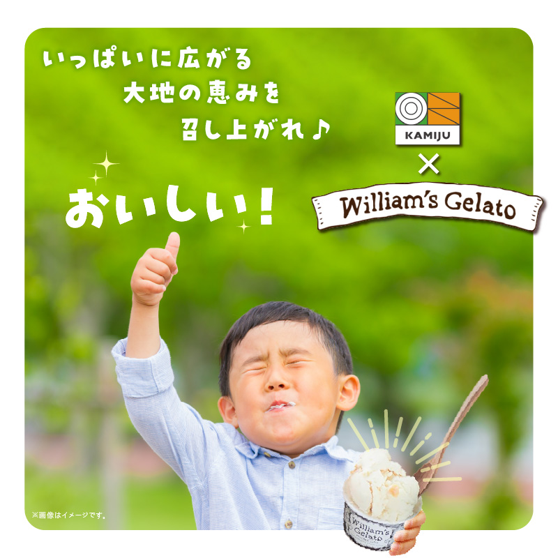 【3種のフレーバーを食べ比べ!!】だいちとつながるジェラート10個セット 映えるデザインが可愛いと話題に!! マドンナキャロット 地元野菜 甘い アイス スイーツ デザート 洋菓子 可愛い 詰め合わせ キャロットミルク フルーツサラダ ピーナッツミルク 自慢 冷たい にんじん 人参 落花生 ピーナッツ 農家 神重農産 H105-171