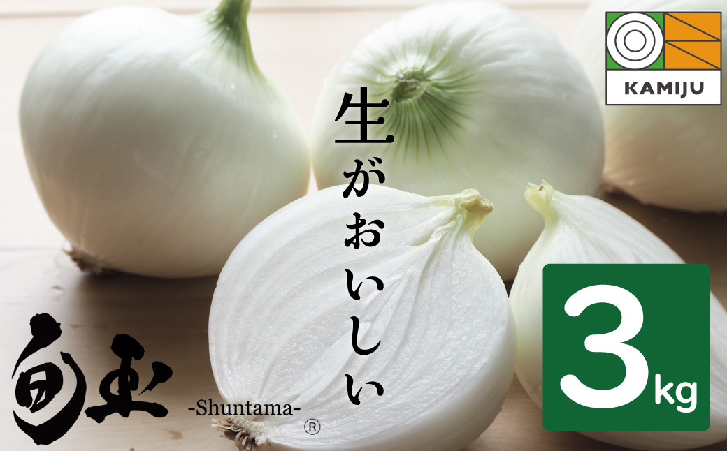 (2026年発送)【お試し】新玉ねぎ 生がおいしい 神重農産のブランド玉ねぎ「旬玉」3kg ブランド玉ねぎ 玉ねぎ 国産 愛知県産 野菜 やさい 農家直送 畑直送 旬 期間限定 たまねぎ 先行予約 旬 特産 高評価 高リピート 人気 H105-174