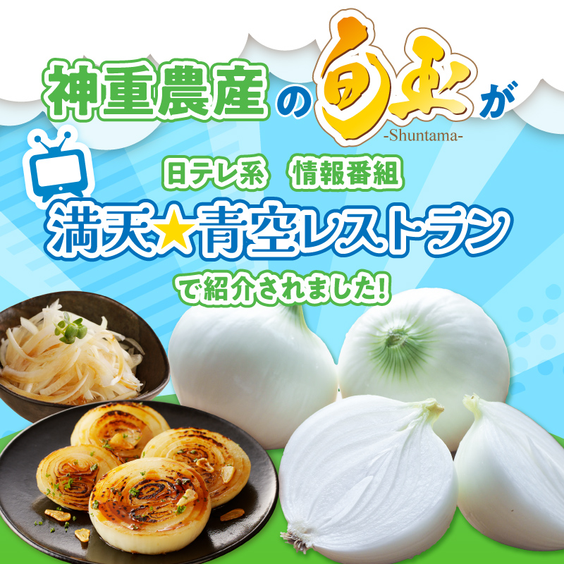 (2026年発送) ≪『満天☆青空レストラン』で紹介されました！≫【お試し】新玉ねぎ 生がおいしい 神重農産のブランド玉ねぎ「旬玉」3kg ブランド玉ねぎ 玉ねぎ 国産 愛知県産 野菜 やさい 農家直送 畑直送 旬 期間限定 たまねぎ 旬 特産 高評価 高リピート 人気 H105-218