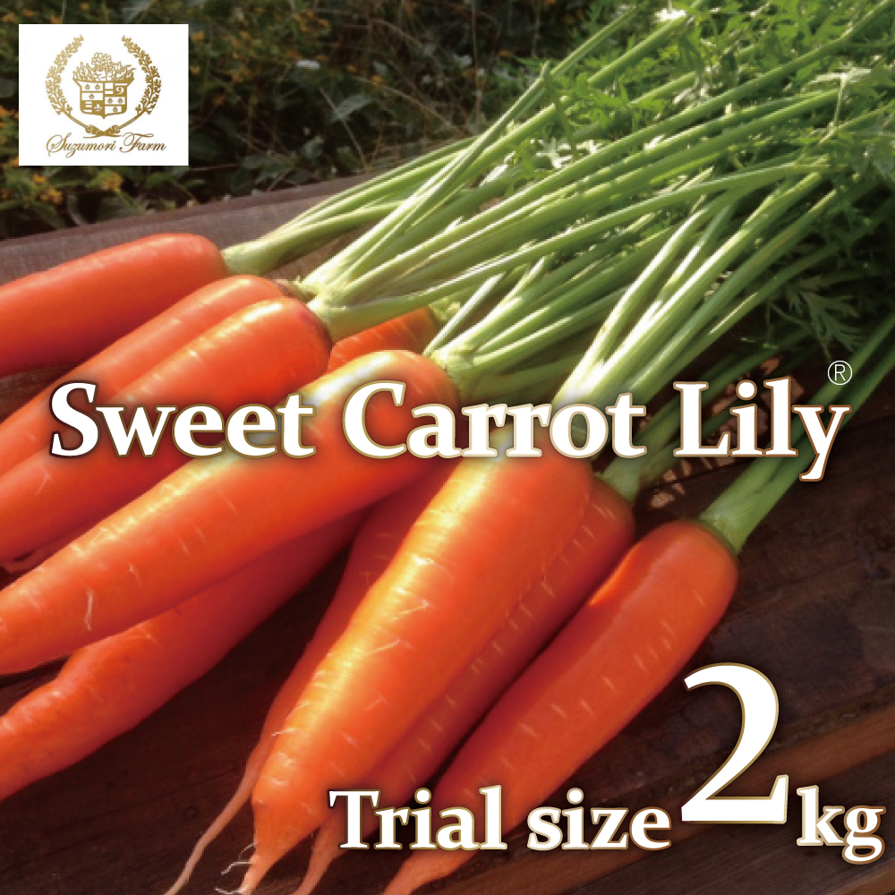 メディア出演多数！！ 【期間限定】 （ お試し ） 鈴盛農園の甘～いにんじん 『スウィートキャロットリリィ』 2kg 人参 甘い ご家庭用 ジュース サラダ スムージー ジューシー 安心 試用 自慢 H022-016