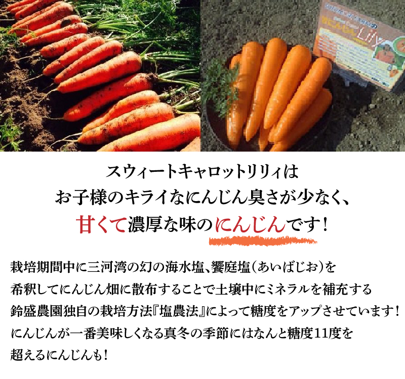 〈予約受付〉メディア出演多数！【期間限定】（お試し）鈴盛農園の甘～いにんじん　スウィートキャロットリリィ 2kg　H022-016