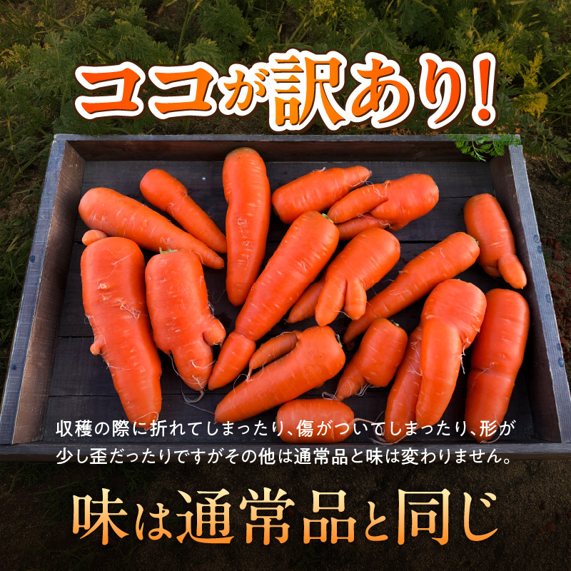 メディア出演多数！！ 【期間限定】（訳あり）鈴盛農園の甘～いにんじん 『スウィートキャロットリリィ』 5kg 人参 甘い ご家庭用 ジュース サラダ スムージー ジューシー 安心 H022-019