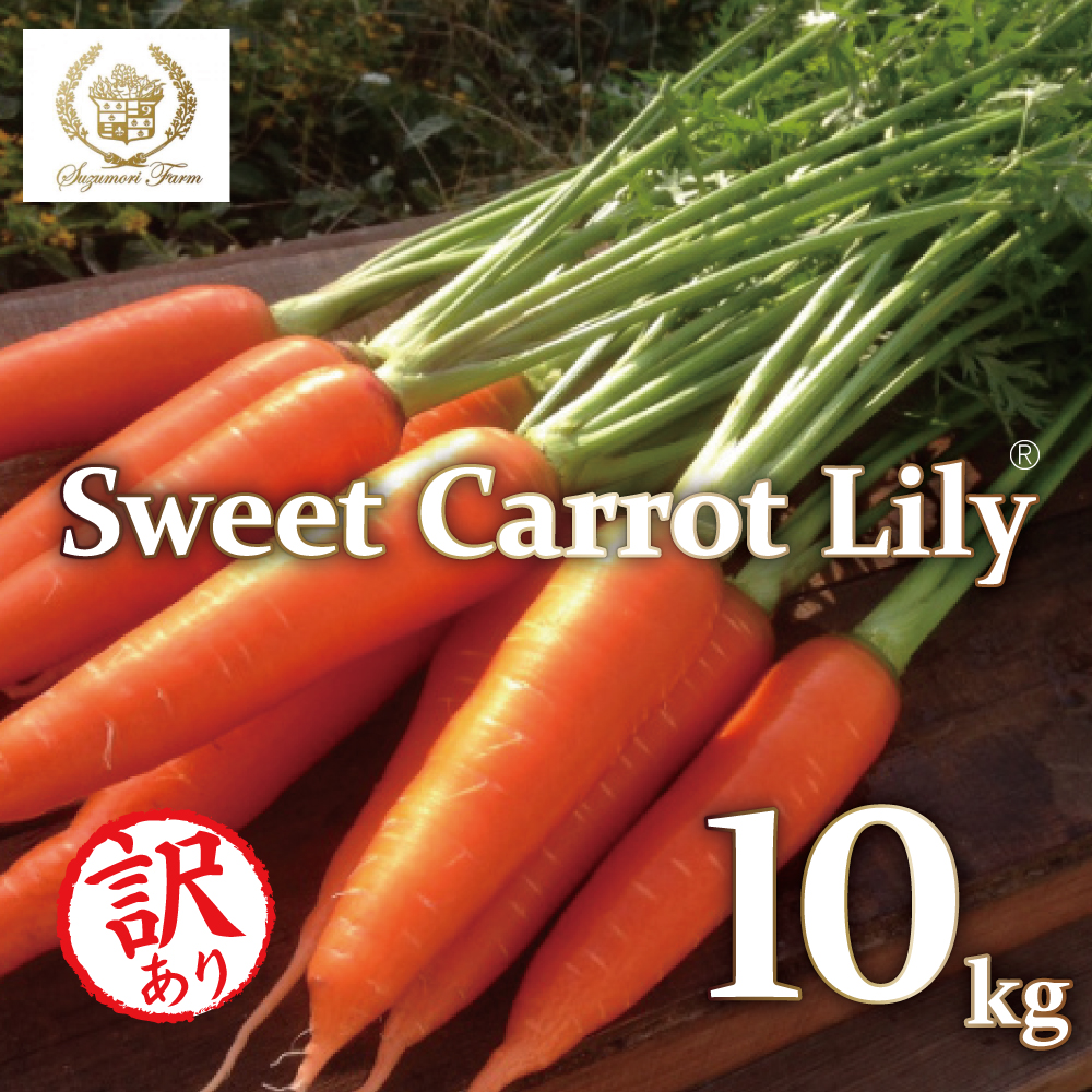 メディア出演多数！！ 【期間限定】（訳あり）鈴盛農園の甘～いにんじん 『スウィートキャロットリリィ』 10kg 人参 甘い ご家庭用 ジュース サラダ スムージー ジューシー 安心 H022-020