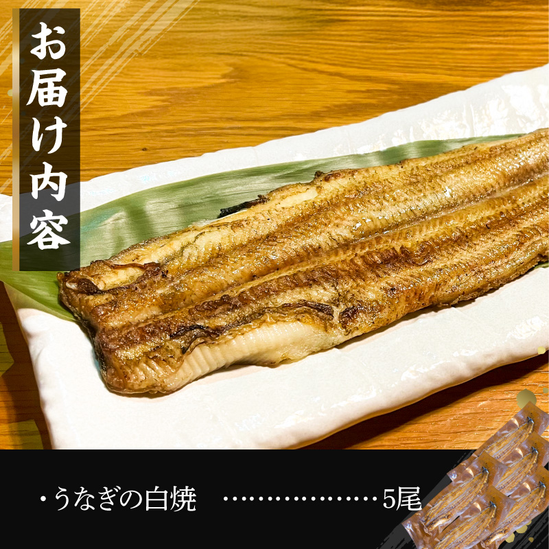 【備長炭で焼く“いい焦がし”】三河一色産うなぎの白焼 5尾 鰻 ウナギ 白焼き 国産 備長炭 土用 丑の日 冷凍 三河一色産 H189-016