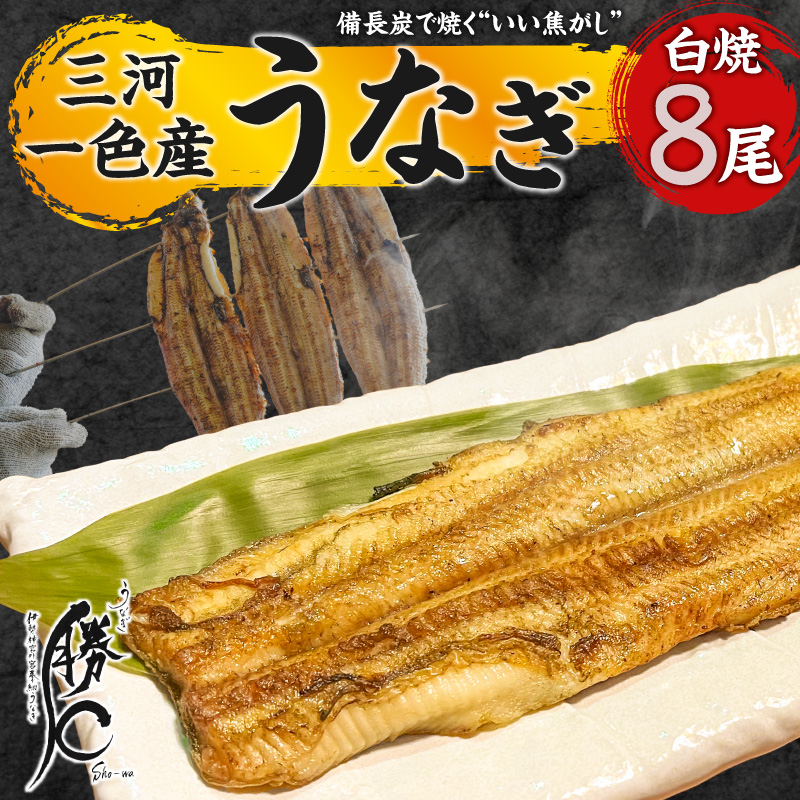 【備長炭で焼く“いい焦がし”】三河一色産うなぎの白焼 8尾 鰻 ウナギ 白焼き 国産 備長炭 土用 丑の日 冷凍 三河一色産 H189-017