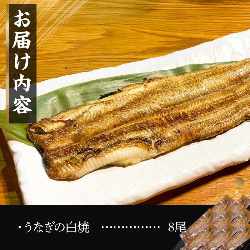 【備長炭で焼く“いい焦がし”】三河一色産うなぎの白焼 8尾 鰻 ウナギ 白焼き 国産 備長炭 土用 丑の日 冷凍 三河一色産 H189-017