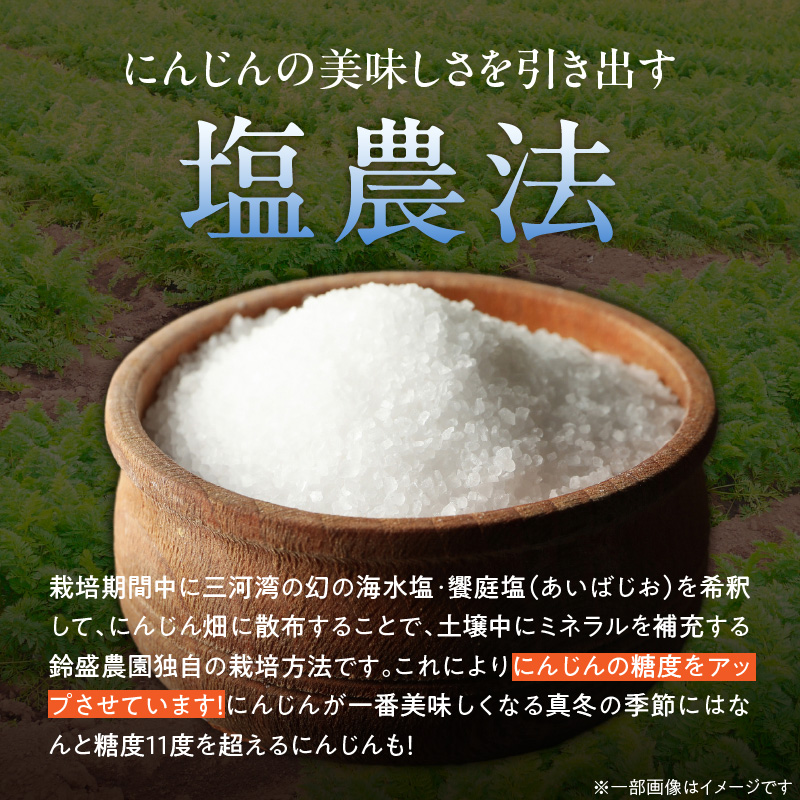メディア出演多数！！ 【期間限定】（訳あり）鈴盛農園の甘～いにんじん 『スウィートキャロットリリィ』 5kg 人参 甘い ご家庭用 ジュース サラダ スムージー ジューシー 安心 H022-019