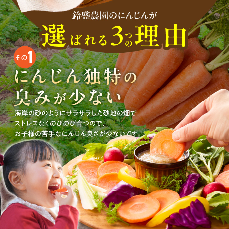 〈予約受付〉メディア出演多数！【期間限定】（訳あり）鈴盛農園の甘～いにんじん 『スウィートキャロットリリィ』 5kg H022-019