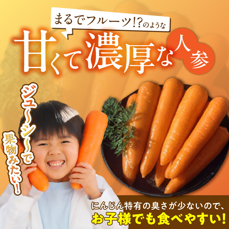 〈予約受付〉メディア出演多数！【期間限定】（訳あり）鈴盛農園の甘～いにんじん 『スウィートキャロットリリィ』 10kg H022-020