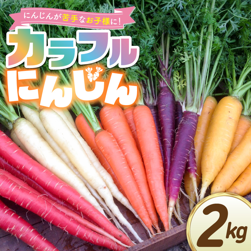 〈予約受付〉メディア出演多数！【期間限定】（お試し） 冬の寒さでぎゅっと濃い！虹色のカラフルにんじん 2kg 鈴盛農園 農家直送 甘い スーパーフード 健康 自慢 ジュース サラダ ギフト 贈り物 βカロテン ポリフェノール リコピン ジューシー 試用 自慢 おためし H022-015