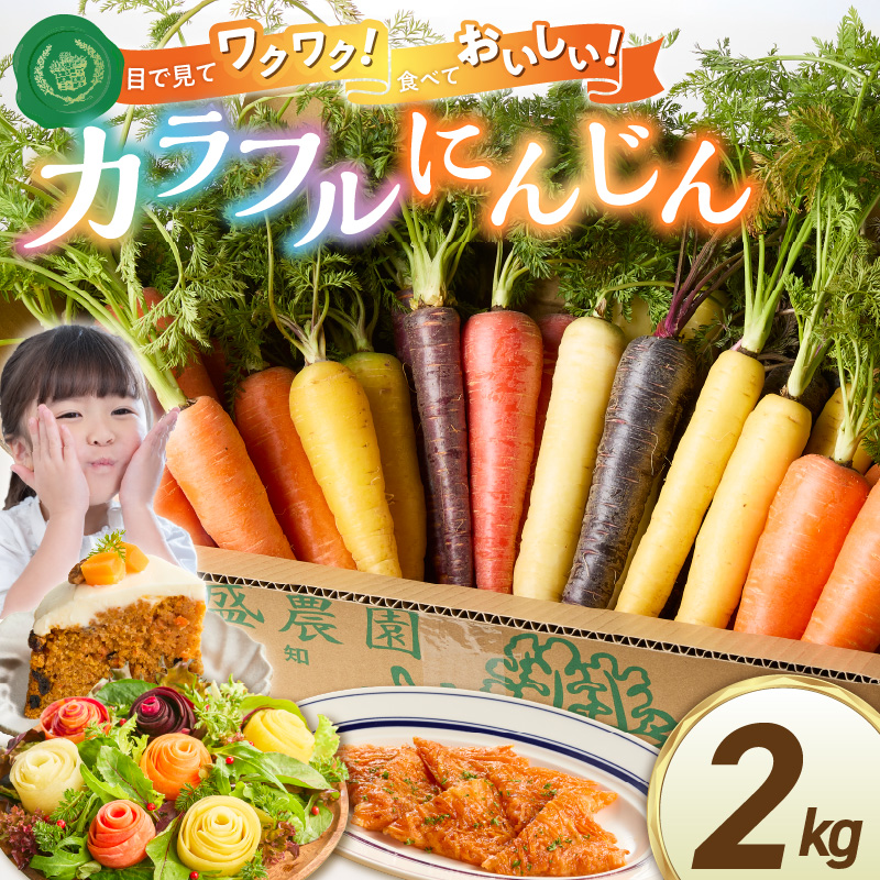 〈予約受付〉メディア出演多数！【期間限定】（お試し） 冬の寒さでぎゅっと濃い！虹色のカラフルにんじん 2kg H022-015