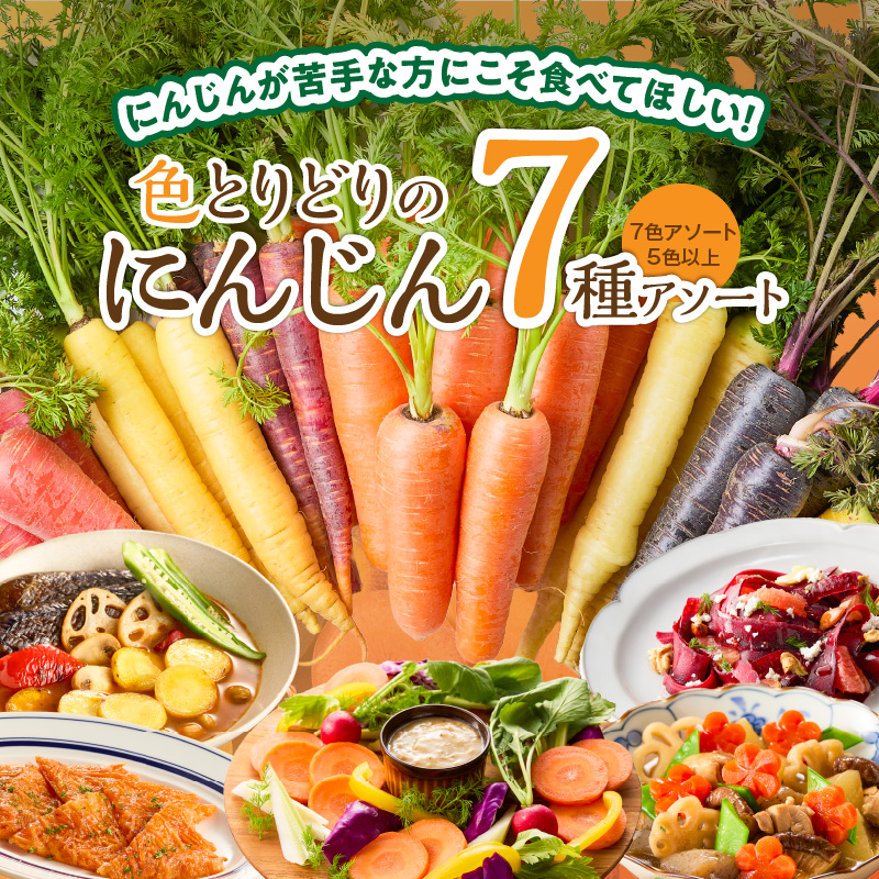 〈予約受付〉メディア出演多数！【期間限定】（お試し） 冬の寒さでぎゅっと濃い！虹色のカラフルにんじん 2kg H022-015