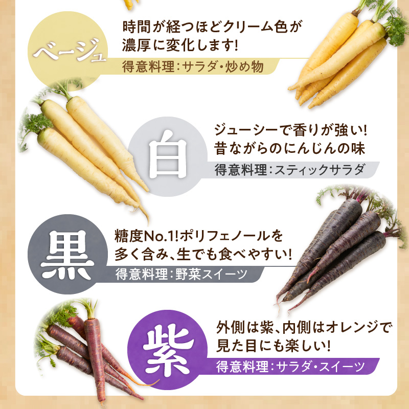 〈予約受付〉メディア出演多数！【期間限定】（お試し） 冬の寒さでぎゅっと濃い！虹色のカラフルにんじん 2kg H022-015