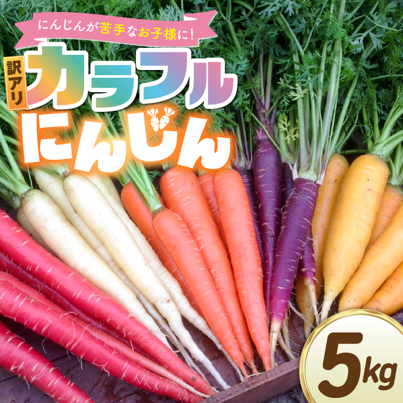 〈予約受付〉 メディア出演多数！【期間限定】（訳あり） 冬の寒さでぎゅっと濃い！虹色のカラフルにんじん 5kg 鈴盛農園 農家直送 甘い スーパーフード 健康 自慢 ジュース サラダ ギフト 贈り物 βカロテン ポリフェノール リコピン ジューシー 規格外 自慢 おためし H022-017