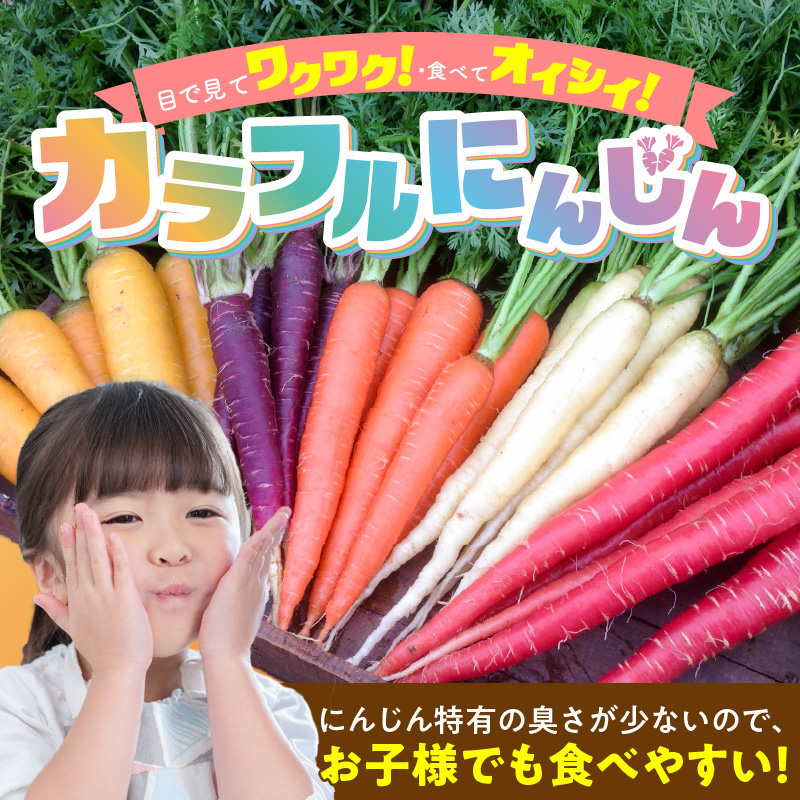 〈予約受付〉 メディア出演多数！【期間限定】（訳あり） 冬の寒さでぎゅっと濃い！虹色のカラフルにんじん 5kg 鈴盛農園 農家直送 甘い スーパーフード 健康 自慢 ジュース サラダ ギフト 贈り物 βカロテン ポリフェノール リコピン ジューシー 規格外 自慢 おためし H022-017