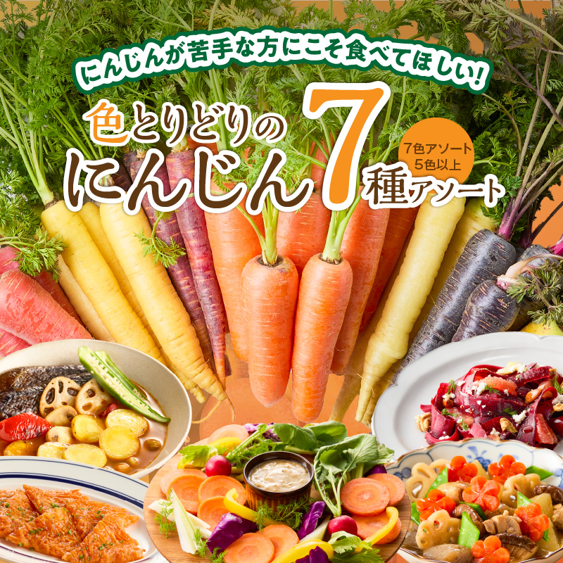 〈予約受付〉 メディア出演多数！【期間限定】（訳あり） 冬の寒さでぎゅっと濃い！虹色のカラフルにんじん 5kg 鈴盛農園 農家直送 甘い スーパーフード 健康 自慢 ジュース サラダ ギフト 贈り物 βカロテン ポリフェノール リコピン ジューシー 規格外 自慢 おためし H022-017